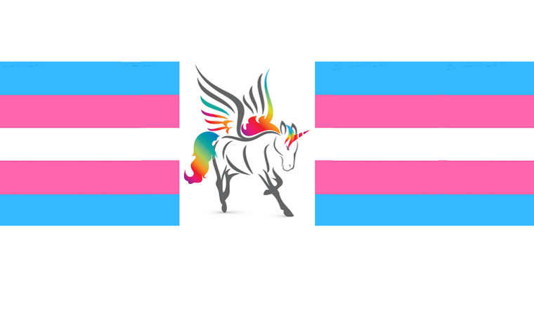 Bella Aziza banner image