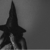 Helena Grey avatar
