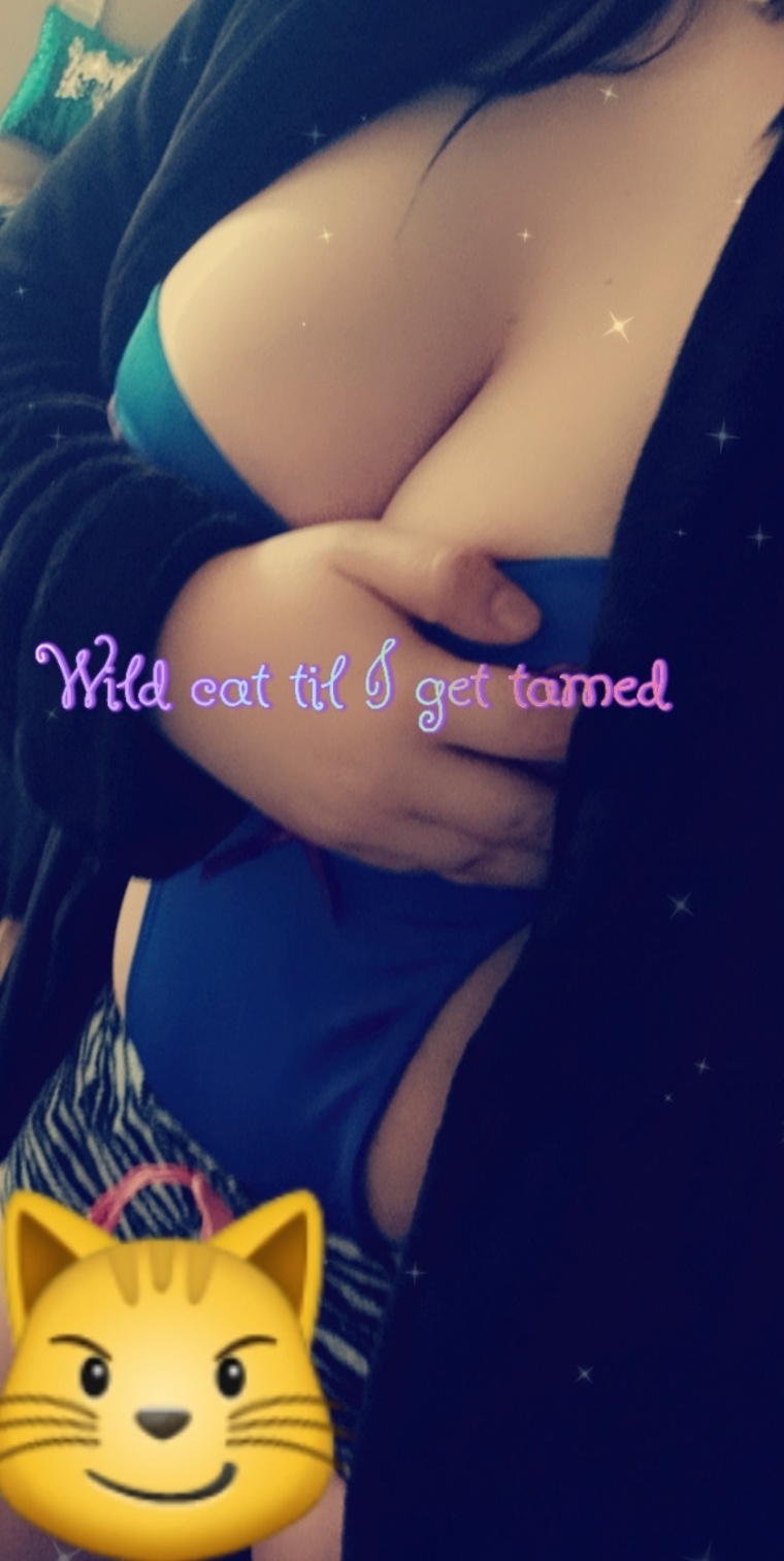 Kitty Stoner banner image