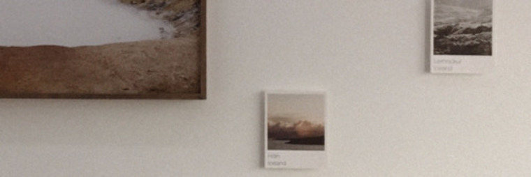 dawid banner image