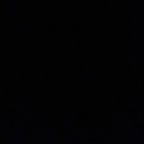 u184965077 avatar