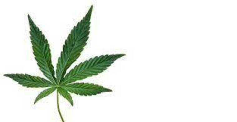 hot stoners banner image