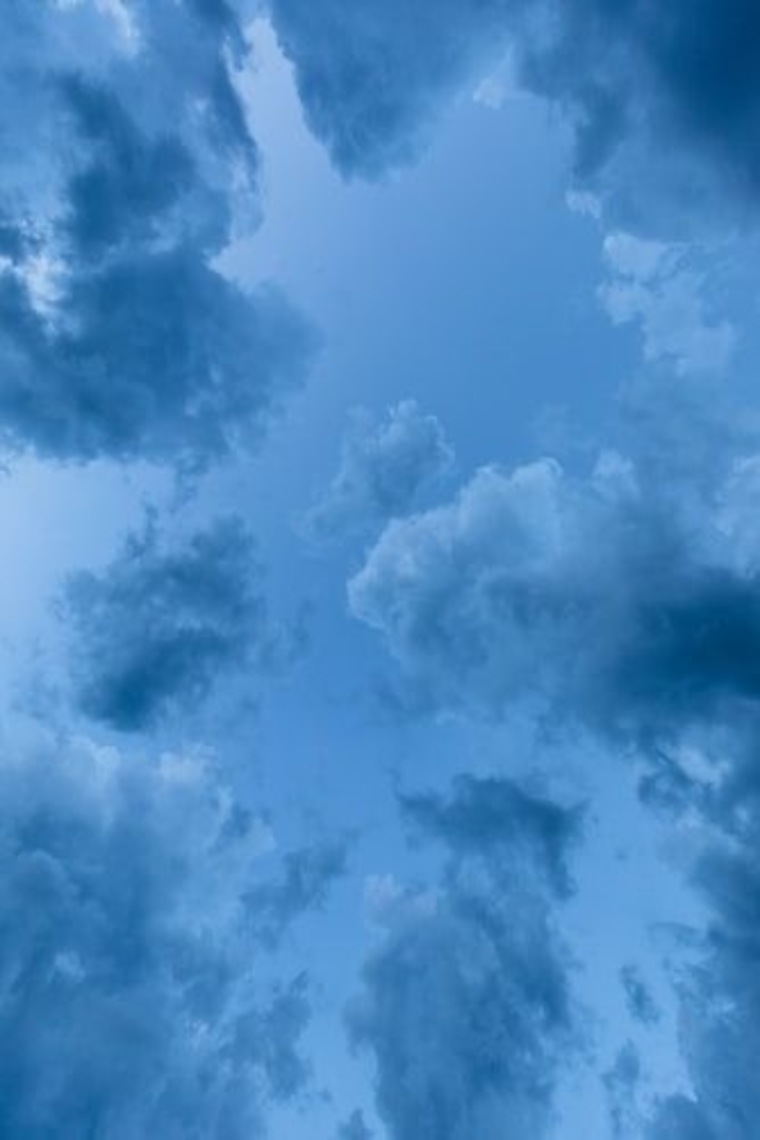 Chip banner image