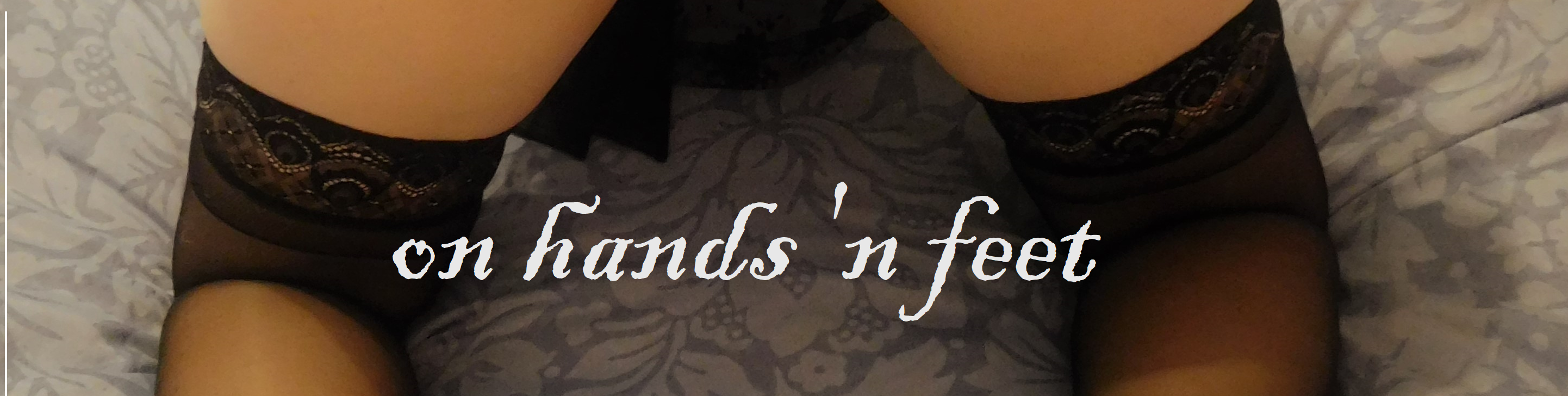 onhandsnfeet banner image