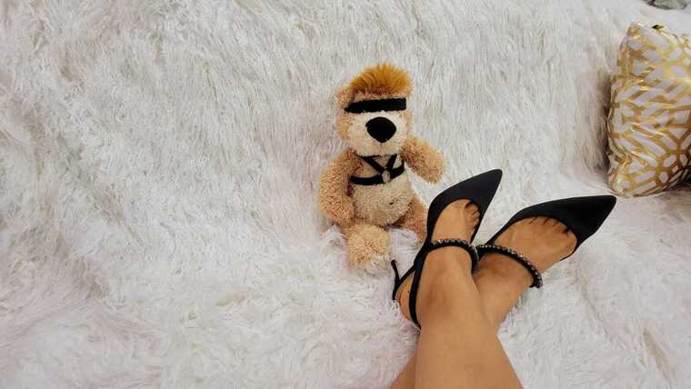 Zee and teddy cover image