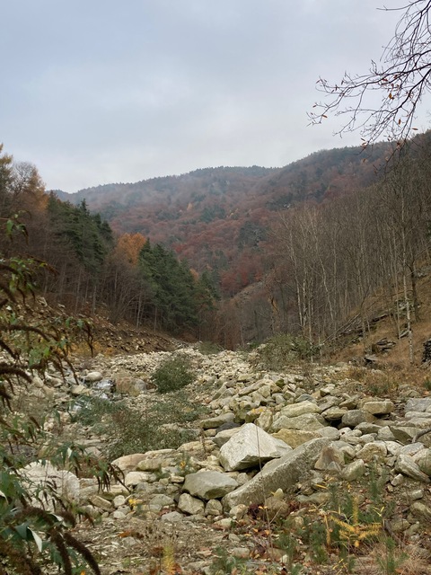 Giu cover image