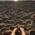 Feet and fun avatar