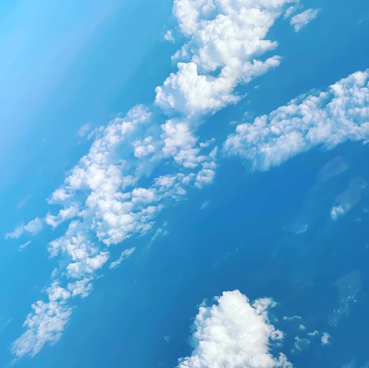 Patrick banner image