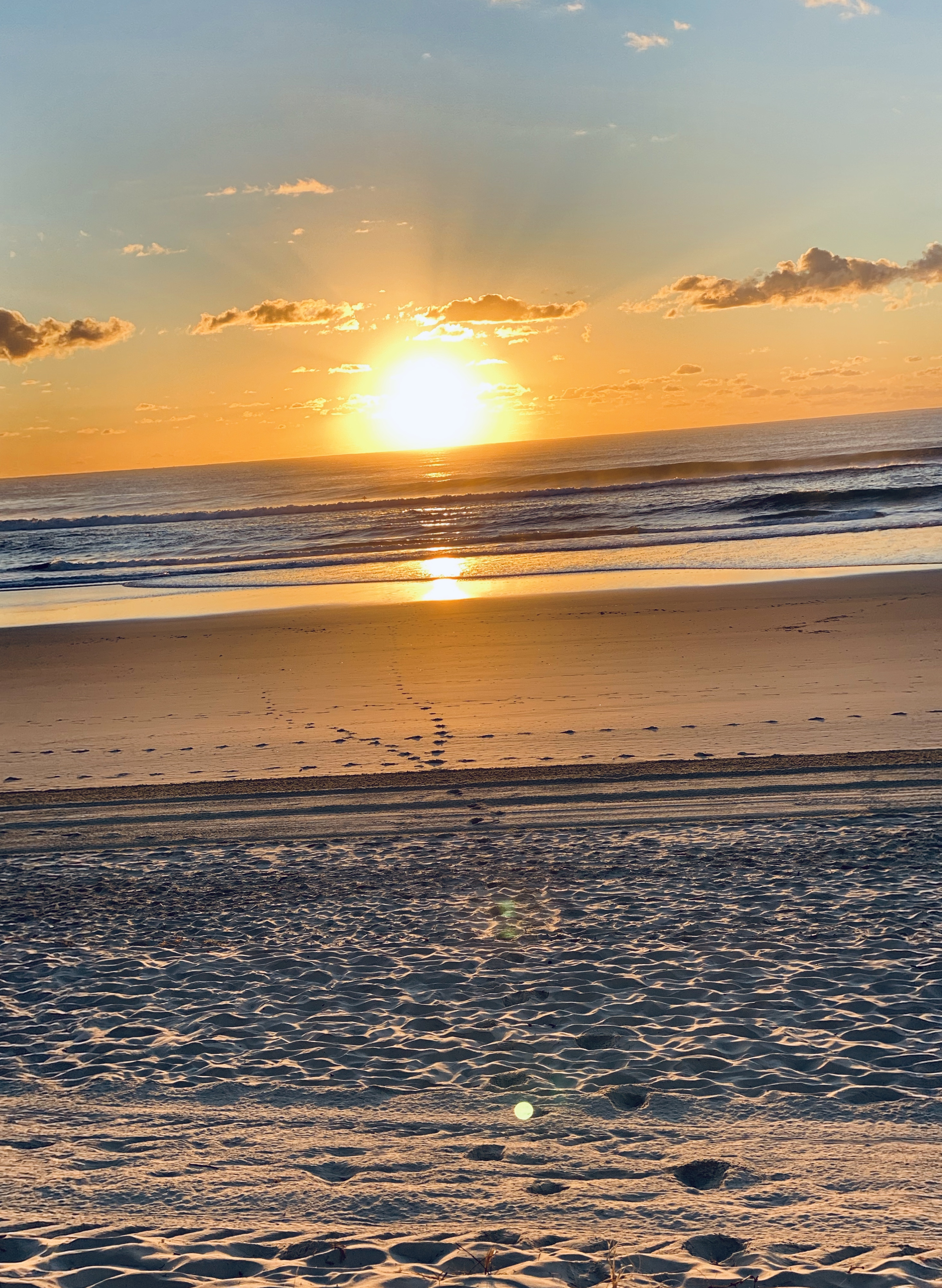 Campbell banner image
