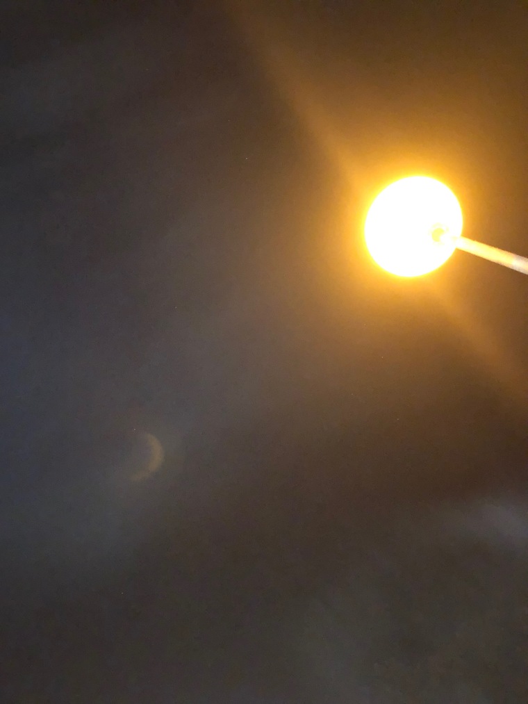 D. banner image