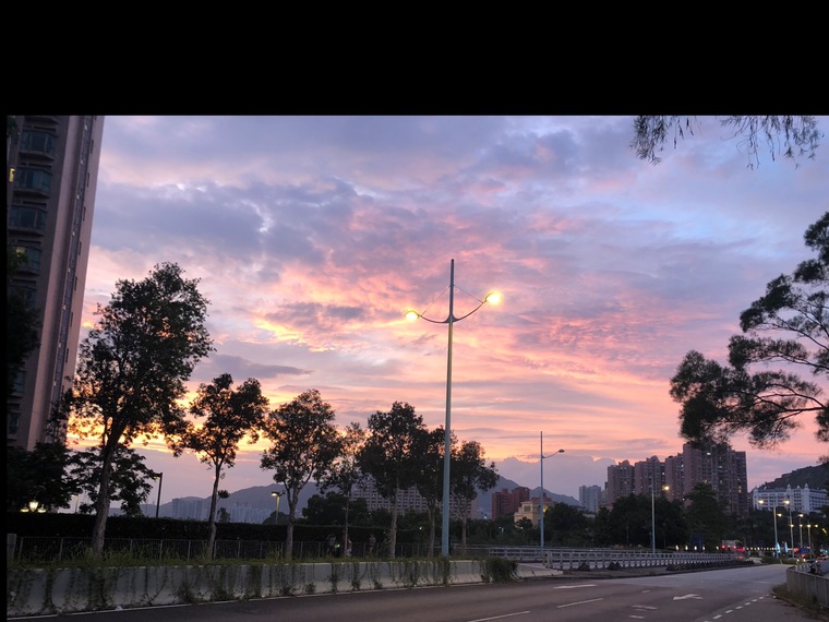 ThaiForYou cover image