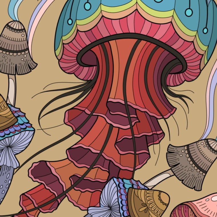 Lexi banner image