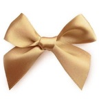 Little Ribbon avatar
