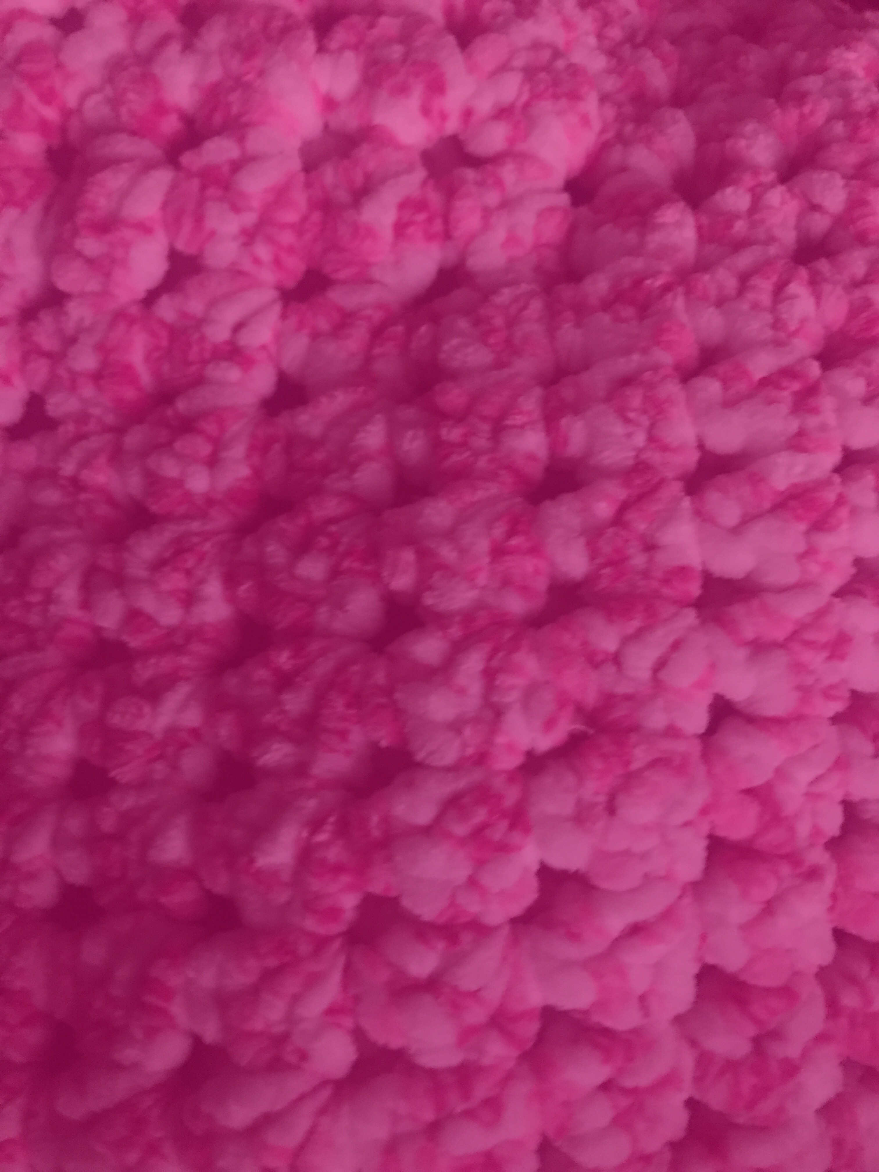 Smallblondie banner image