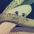 Lady Banana avatar
