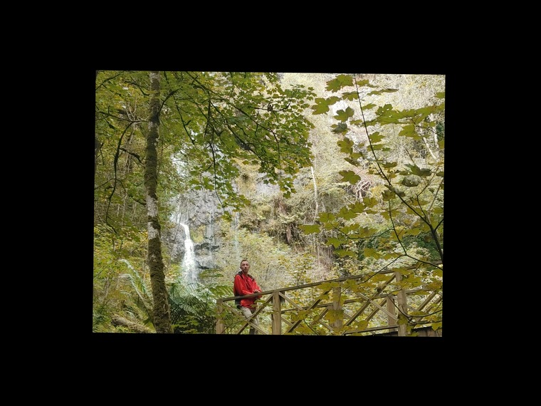 Markslimnatural banner image