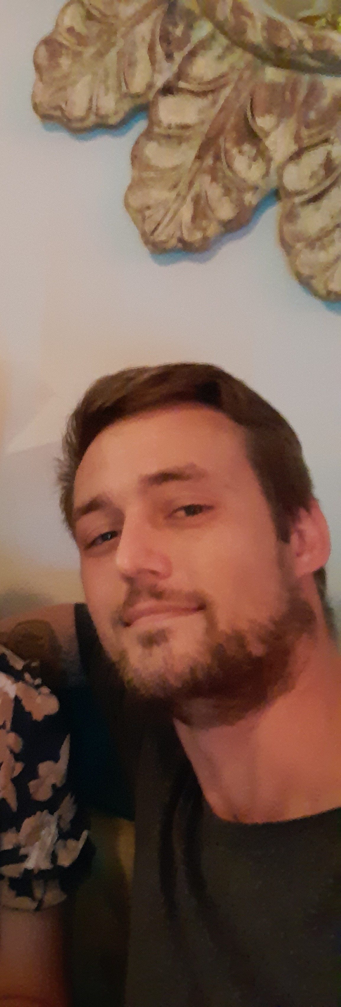 Natdog banner image