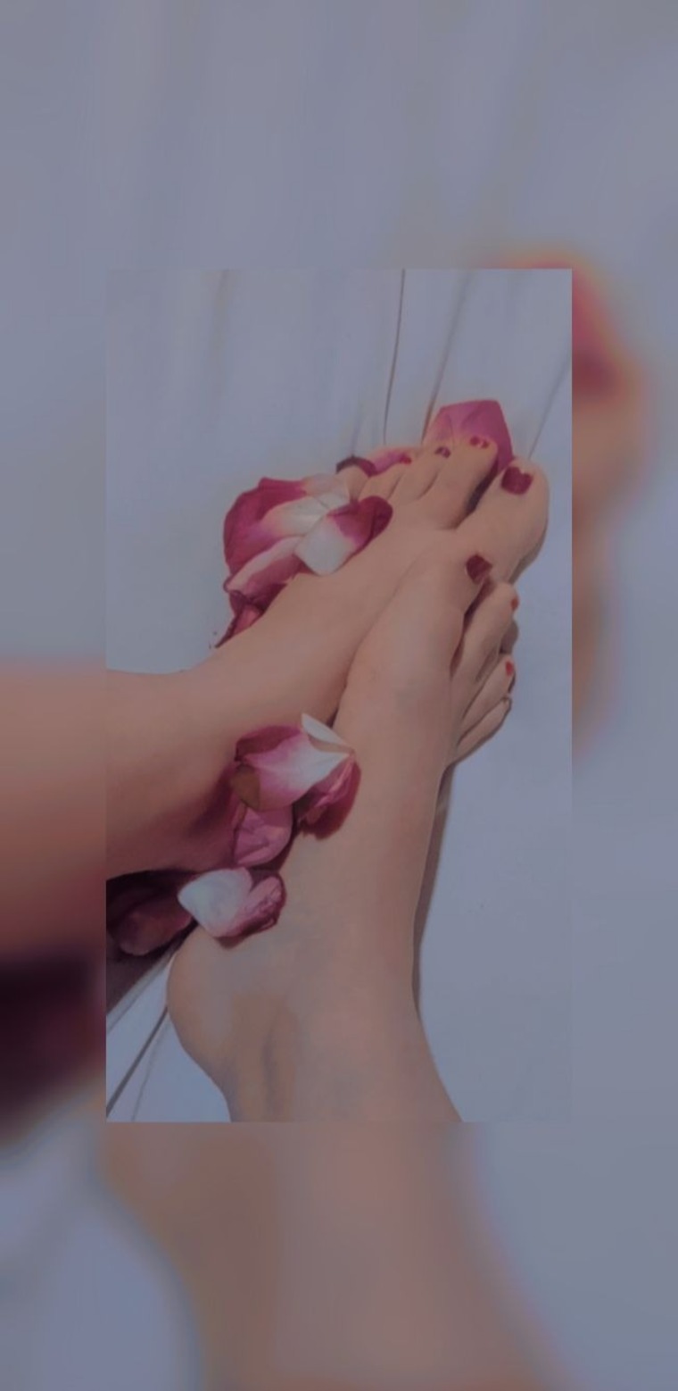 Wendy cover image