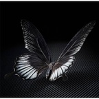 Mariposa avatar