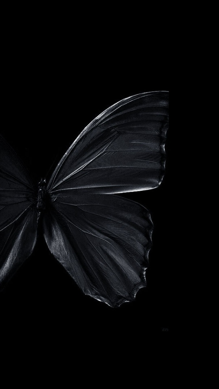 Mariposa cover image