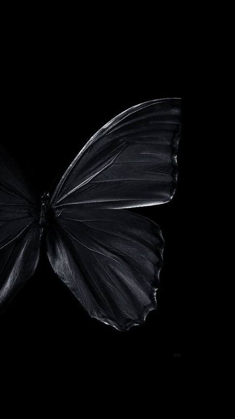 Mariposa cover image