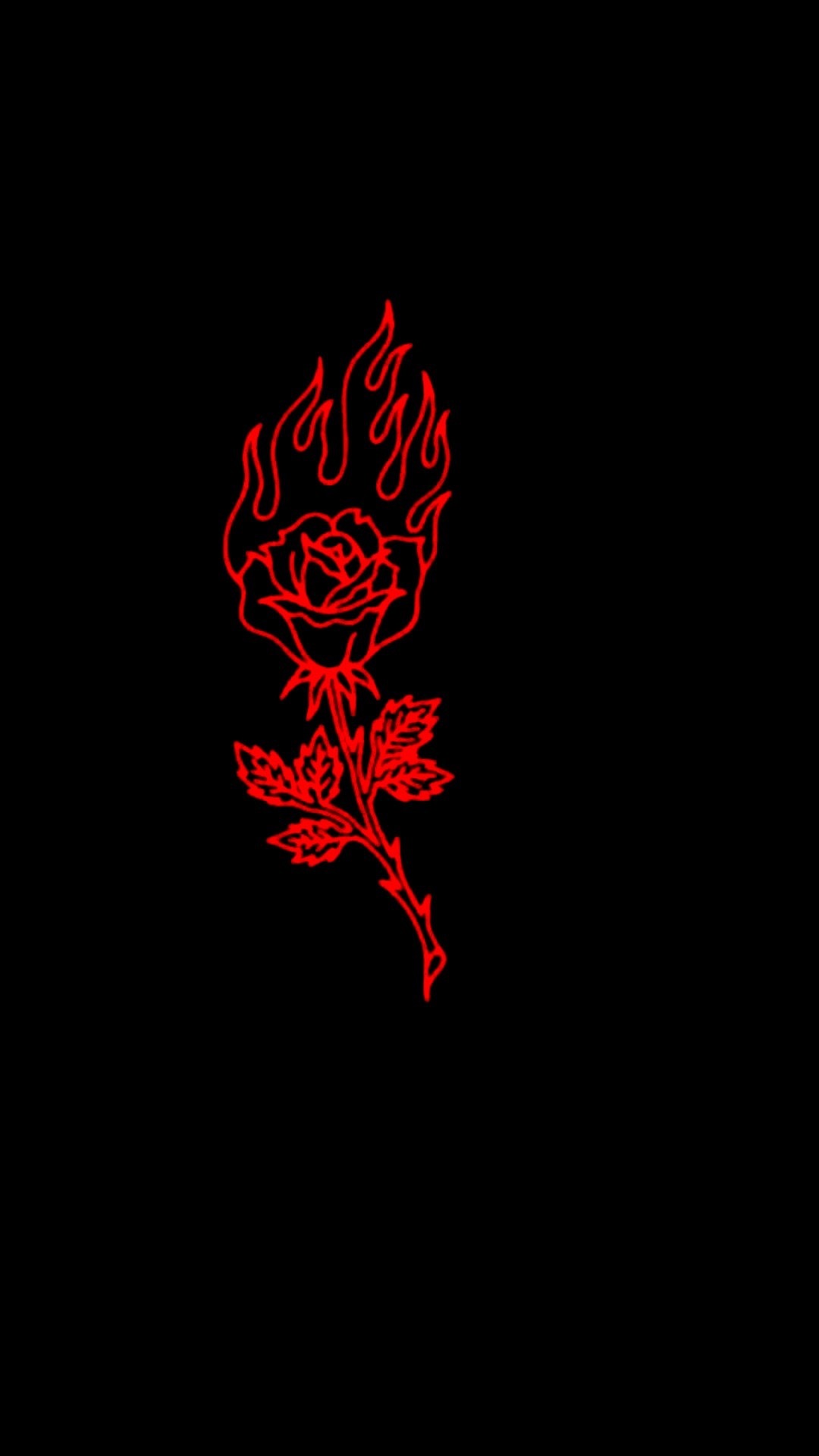 Elia.saldana banner image