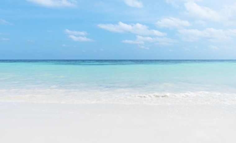 Marie Antonia banner image