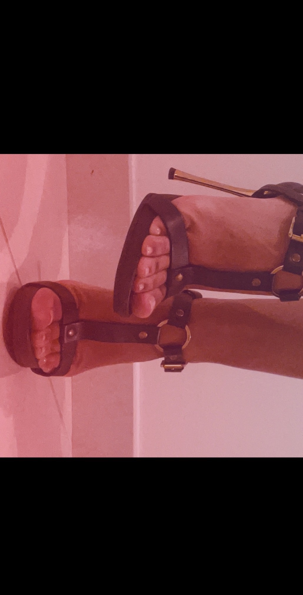 cinderella__feet banner image