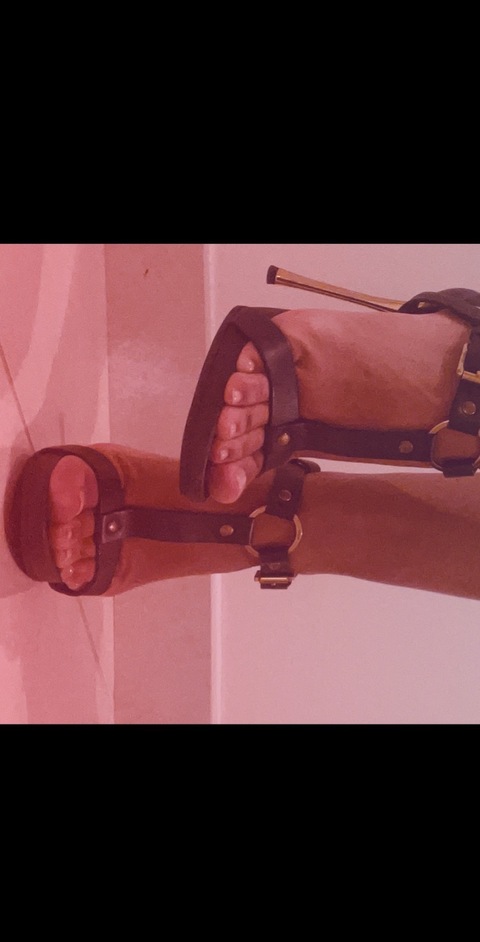 cinderella__feet cover image