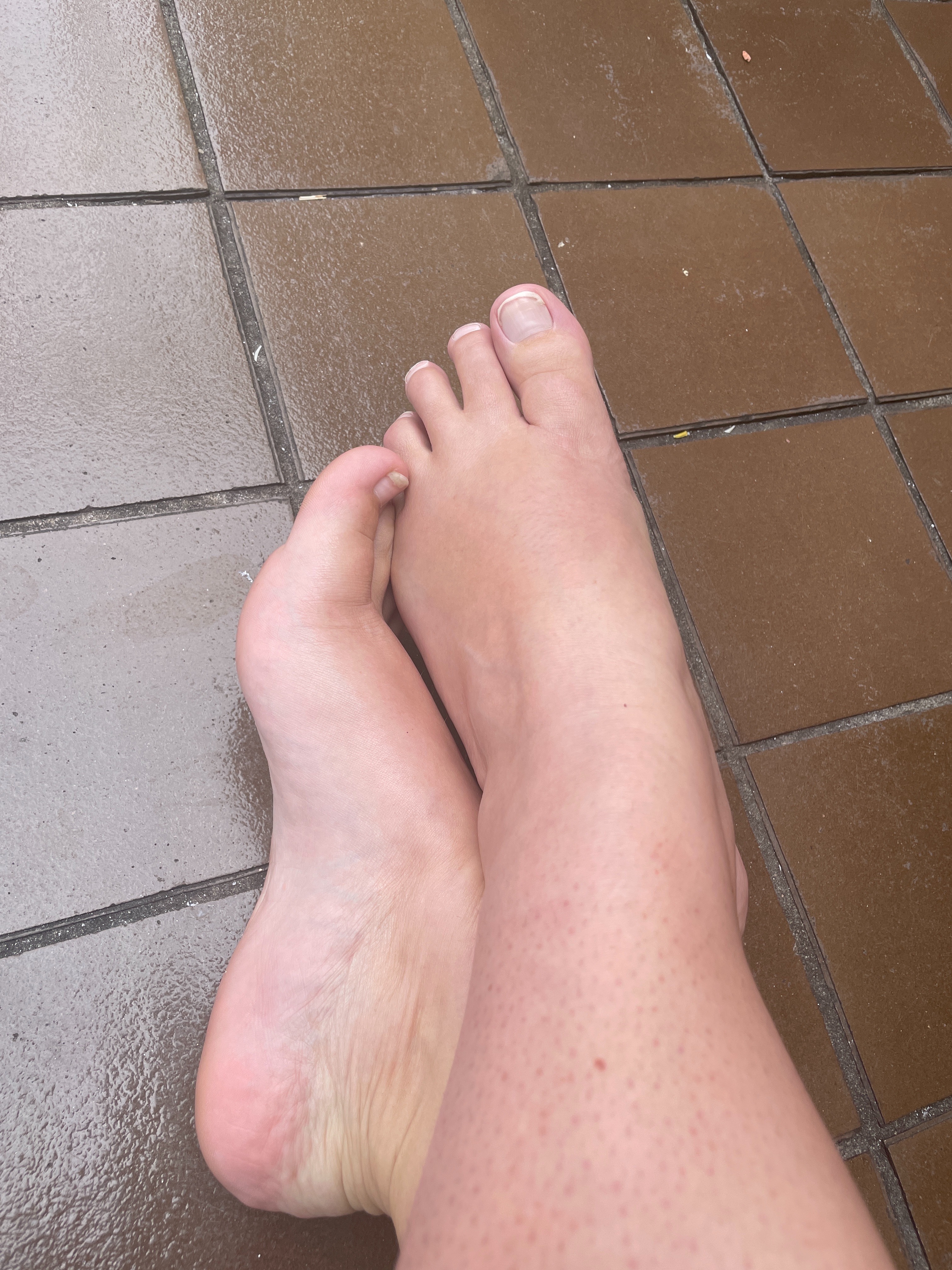 Tippytoes banner image