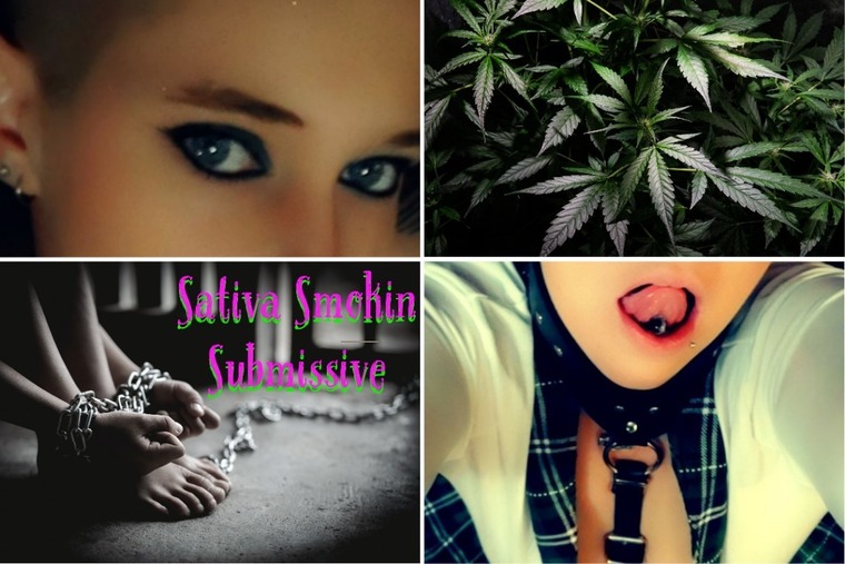 Sativa Smokin Submissive cover image