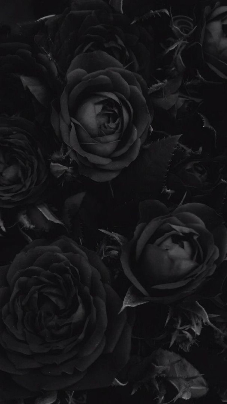I_atev cover image