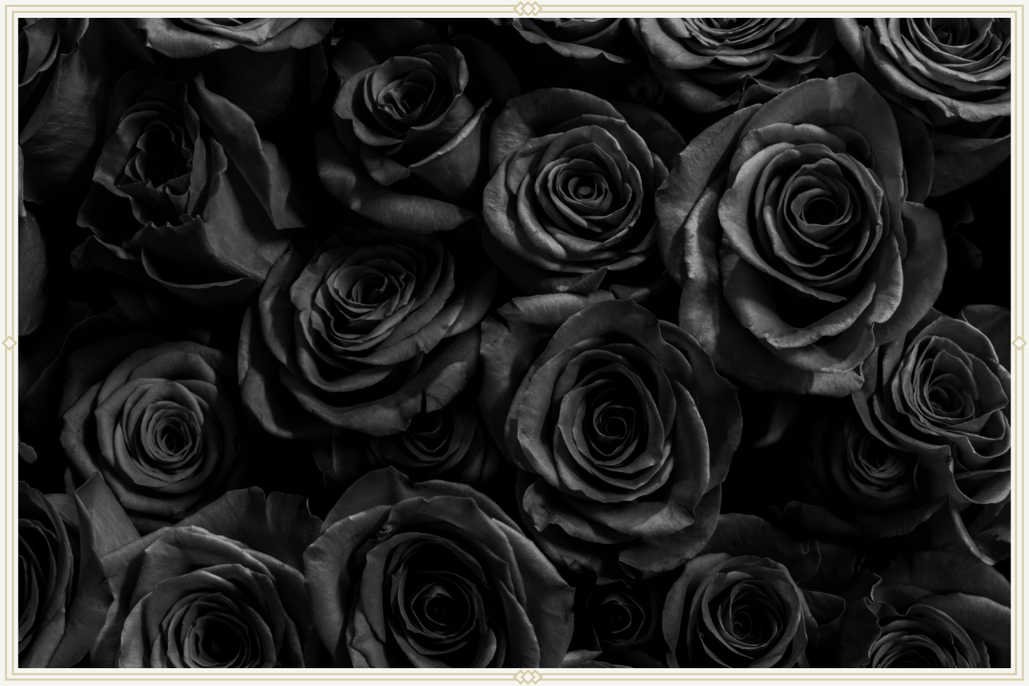 tattedmom banner image