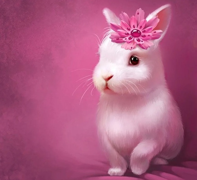 LilBunni33 cover image