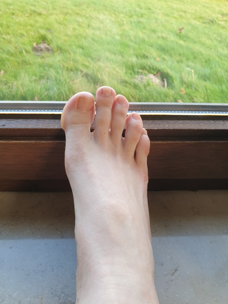 TheGreekFeet banner image