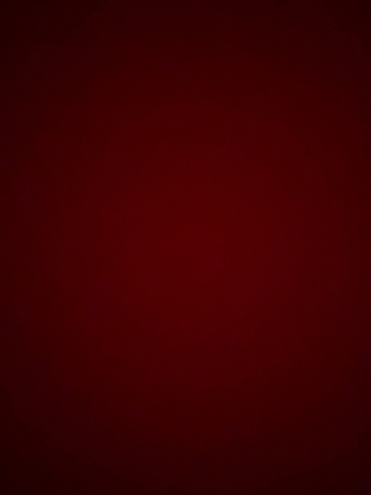 Stefan banner image