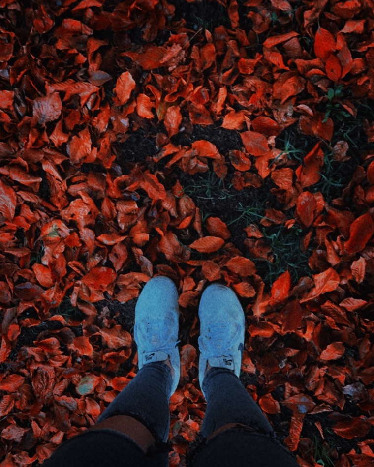 Mischi_ 18 cover image