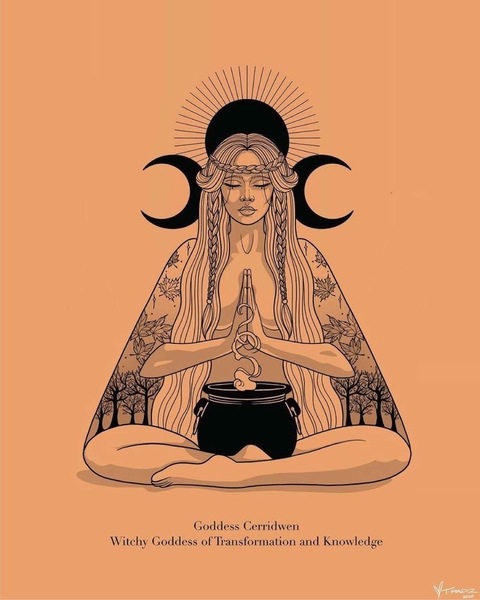 Shanleigh cover image