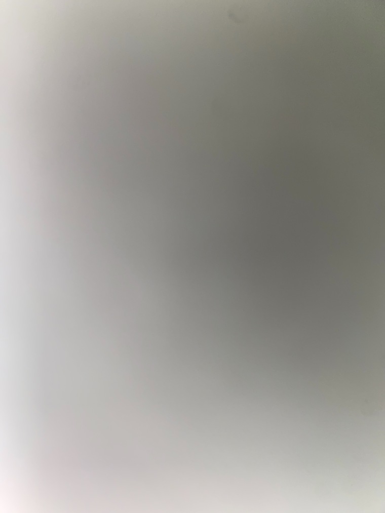 ginger cover image