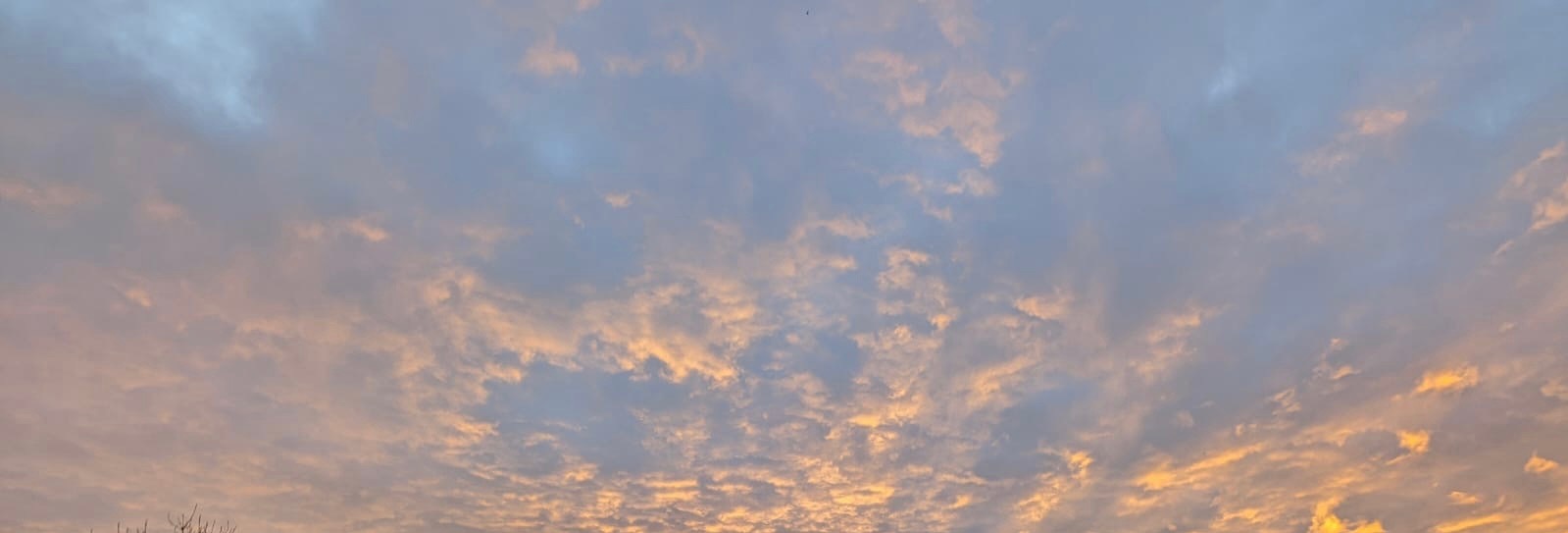 Jemima Petite Feet banner image