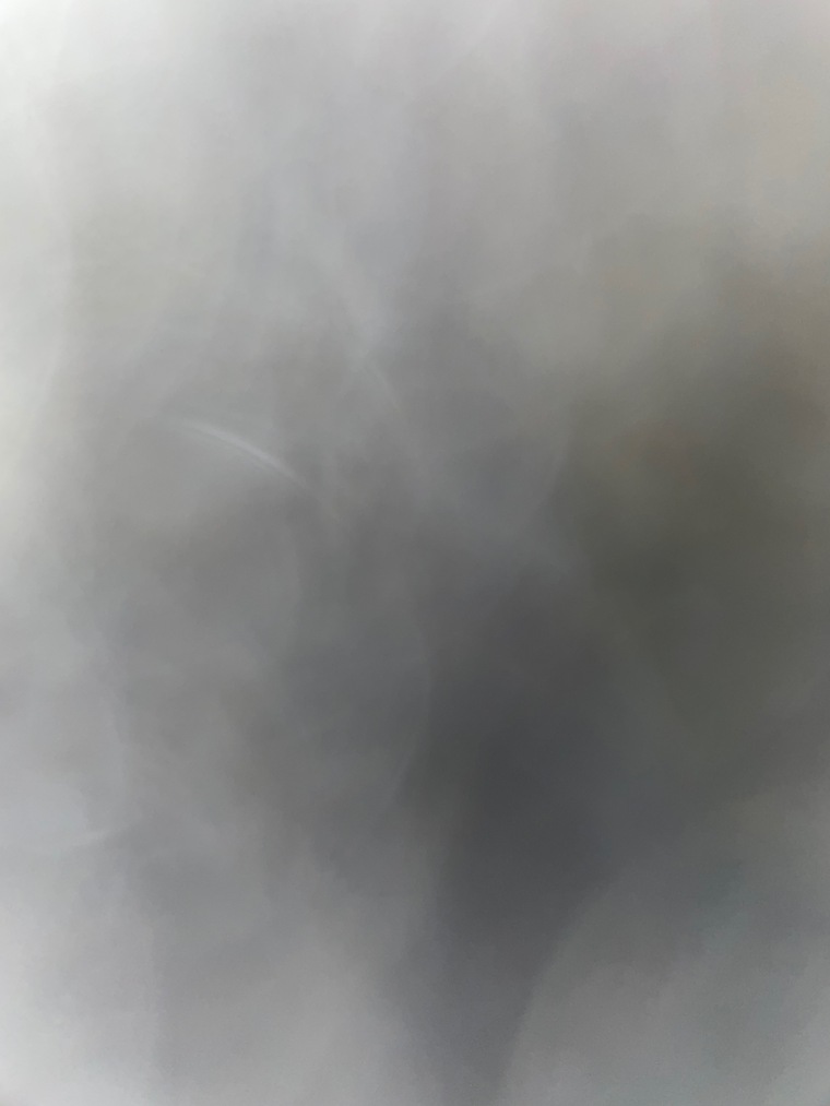 Brodie cover image