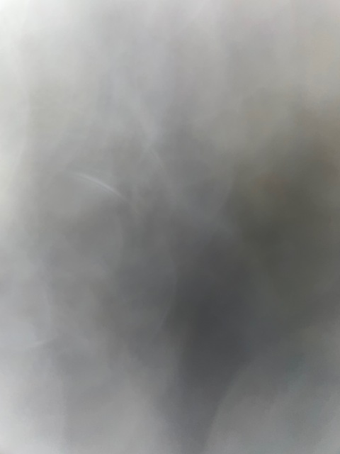 Brodie cover image