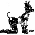 BigBoi123 avatar