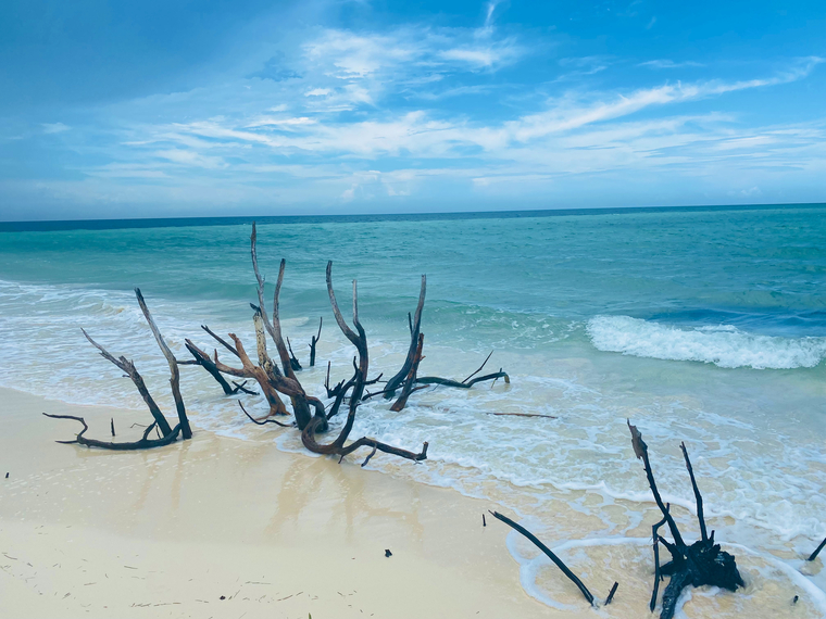 Flo1984 cover image