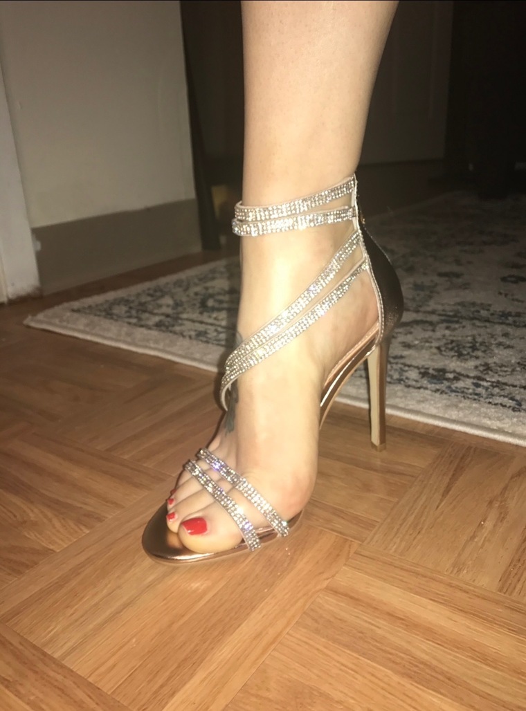 Sexyycat banner image