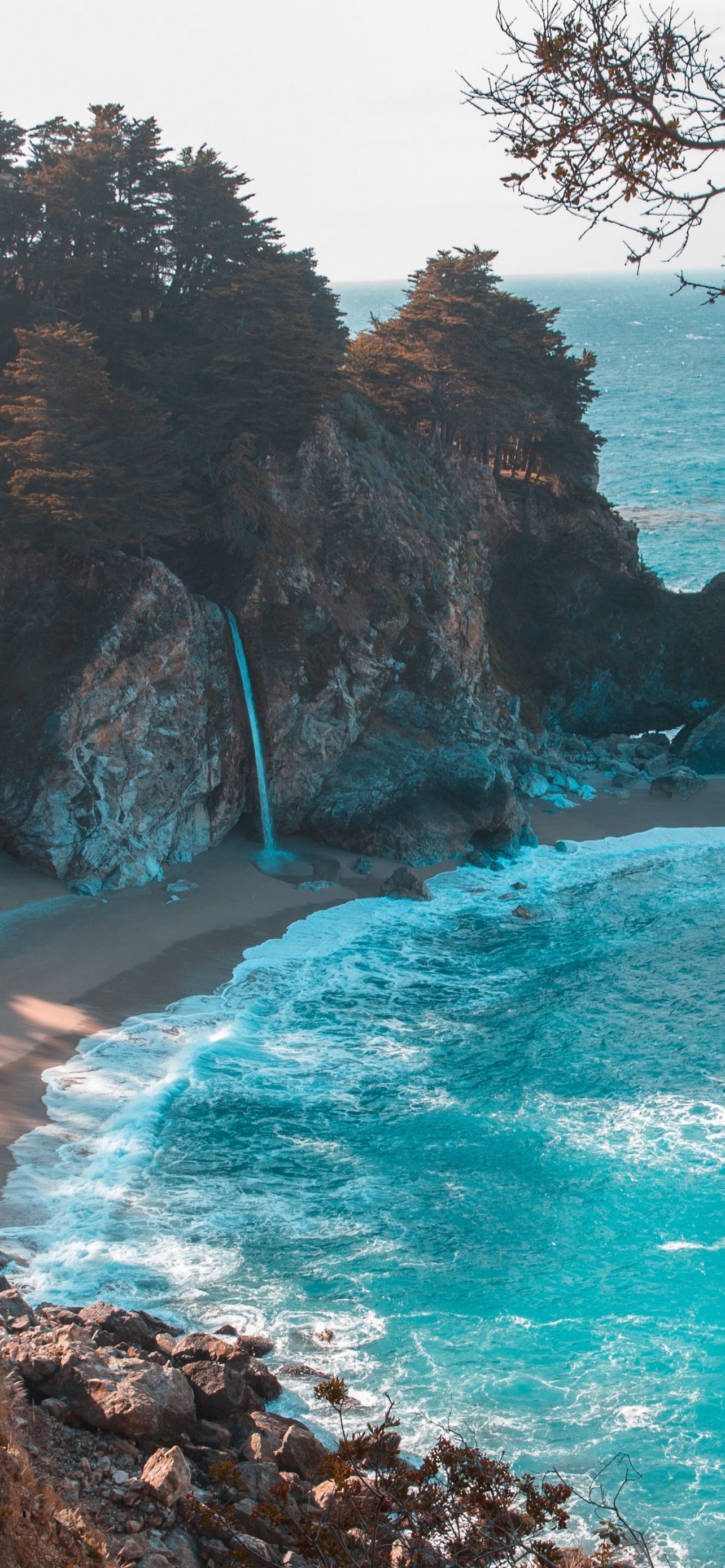 GingerX banner image