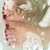 Miss Lotusflower avatar