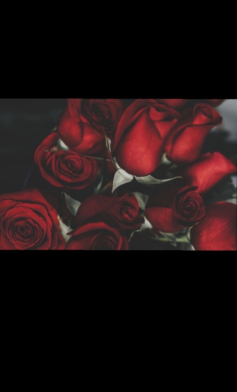 Fay banner image