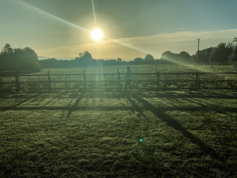 u223680929 cover image