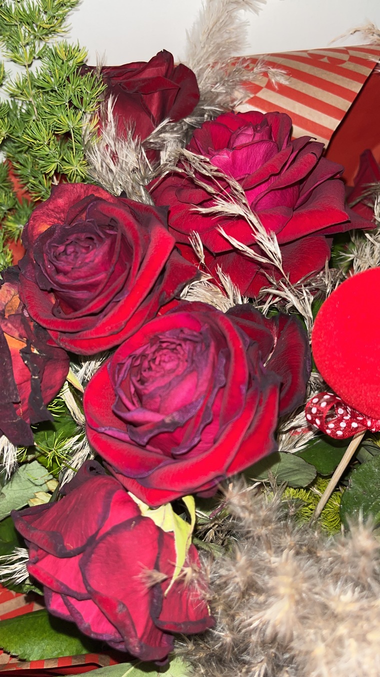 La Cenerentola banner image